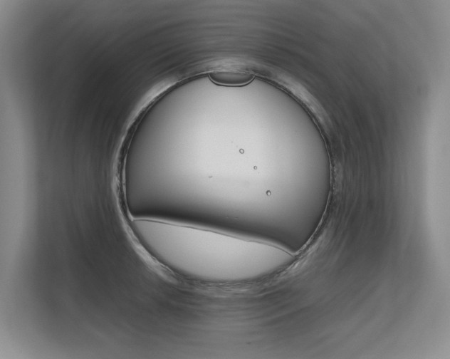 X0000112491042200908170947