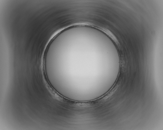 X0000112491044200908170947