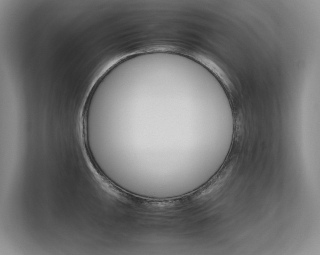 X0000112491047200908170947