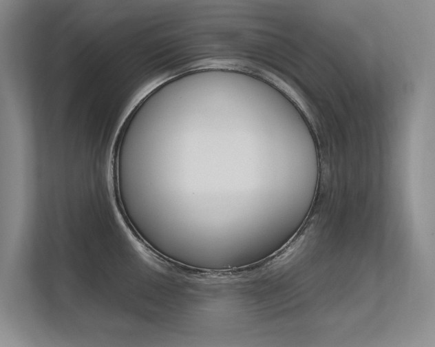 X0000112491050200908170947