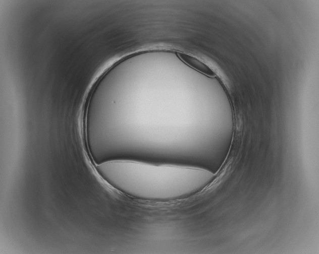 X0000112491054200908170947
