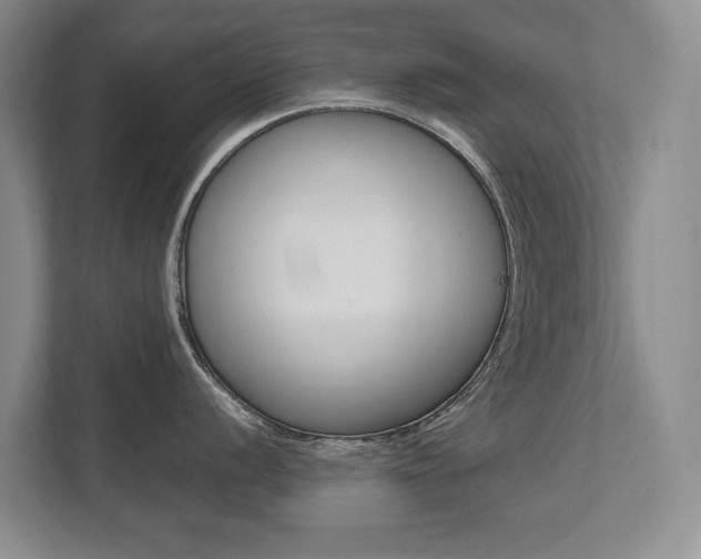 X0000112491056200908170947