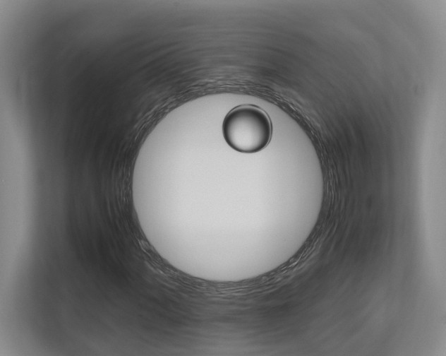 X0000112491060200908170947