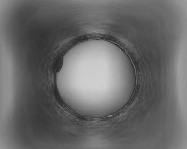 X0000112491061200908170947