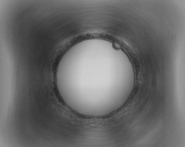 X0000112491062200908170947