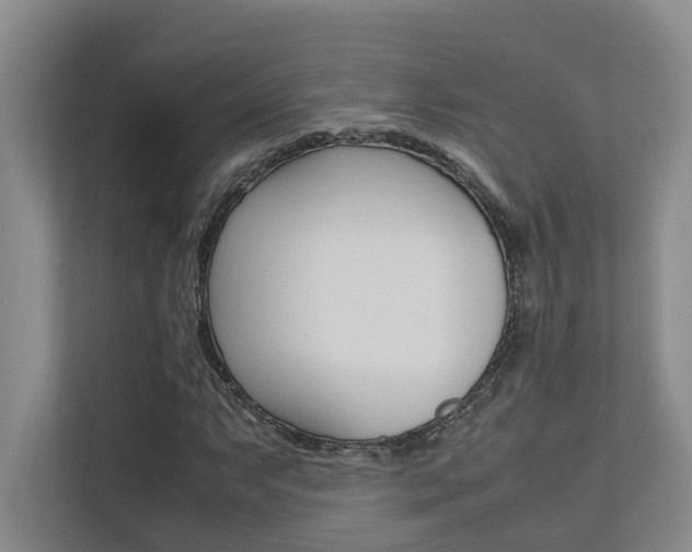 X0000112491063200908170947