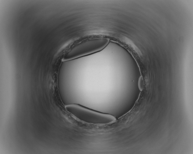 X0000112491064200908170947