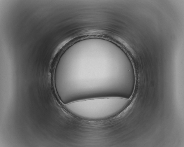 X0000112491066200908170947