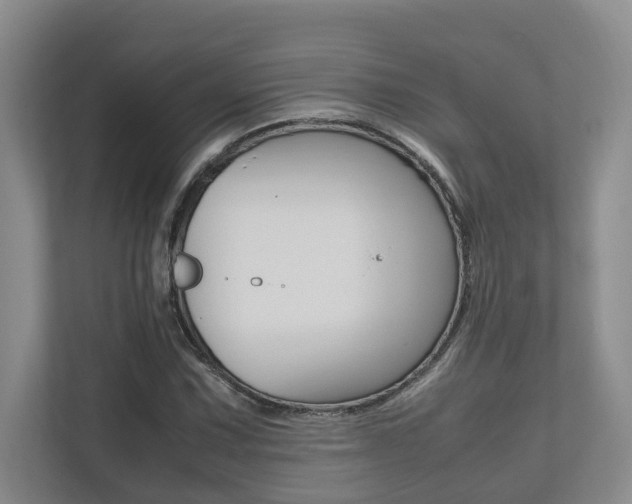 X0000112491067200908170947