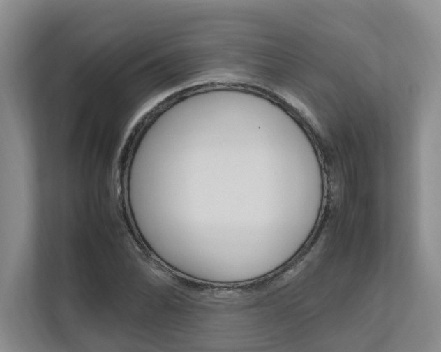 X0000112491070200908170946
