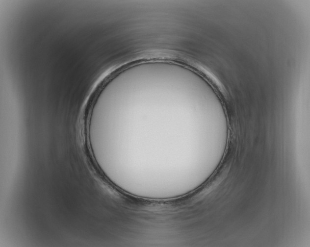 X0000112491075200908170946