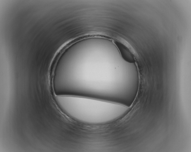 X0000112491076200908170946