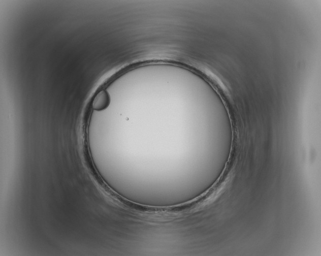 X0000112491077200908170946