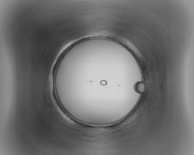 X0000112491079200908170946