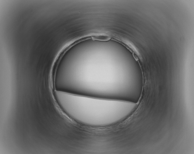 X0000112491080200908170946