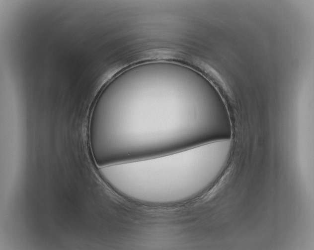 X0000112491081200908170946