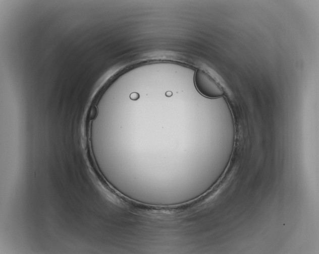 X0000112491082200908170946