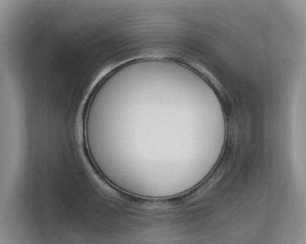 X0000112491083200908170946