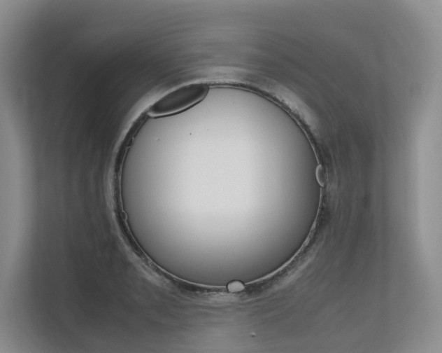 X0000112491085200908170946