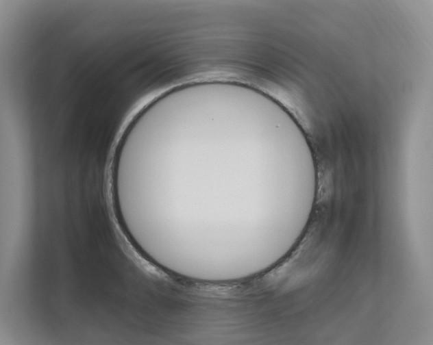 X0000112491086200908170946