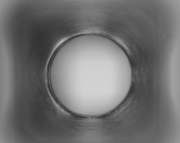X0000112491087200908170946