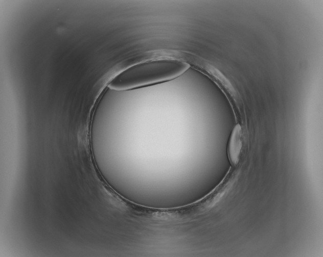 X0000112491089200908170946