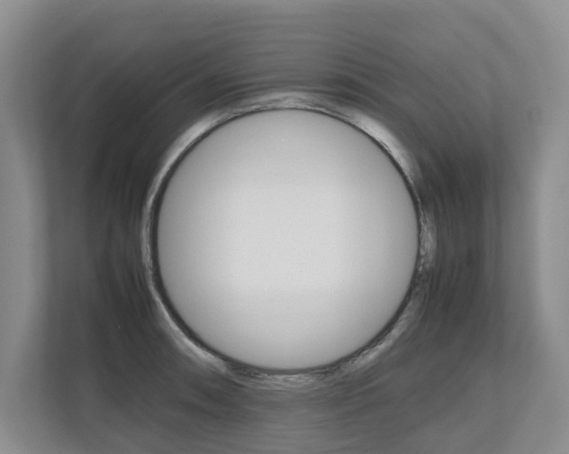 X0000112491090200908170946