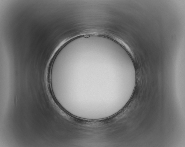 X0000112491091200908170946