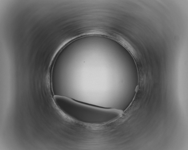 X0000112491092200908170946