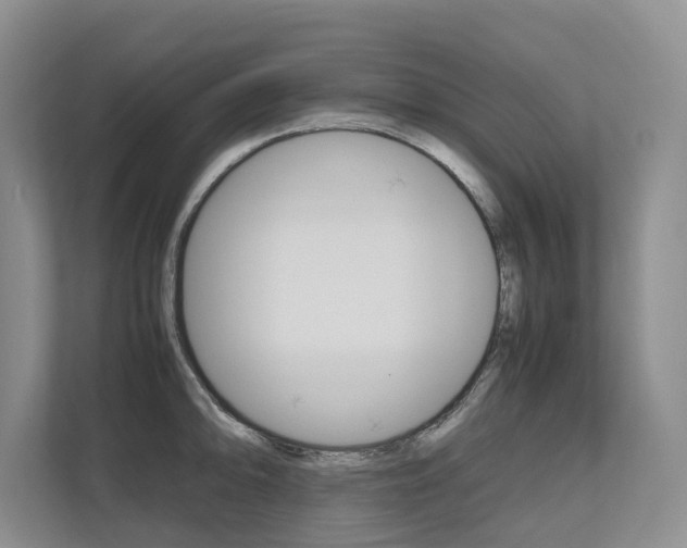 X0000112491094200908170946