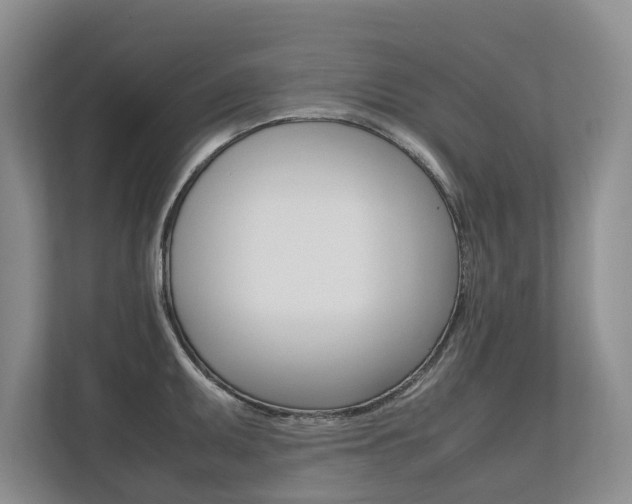 X0000112491095200908170946