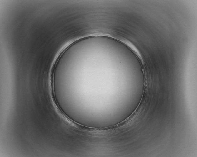 X0000112491096200908170946