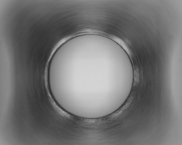 X0000112491098200908170946