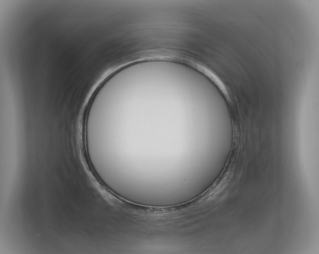 X0000112491099200908170946