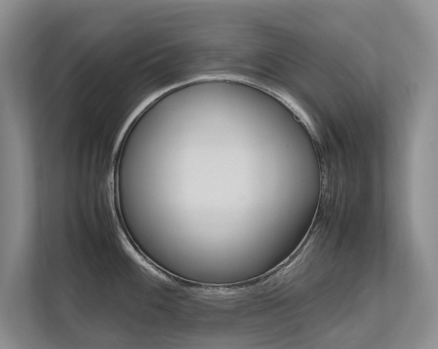X0000112491100200908170946