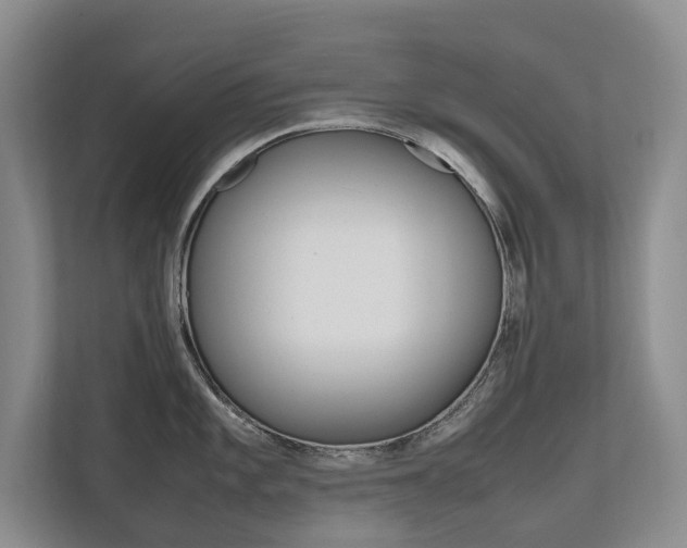 X0000112491101200908170946