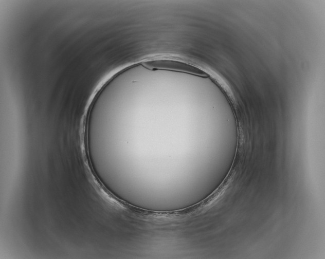 X0000112491102200908170946