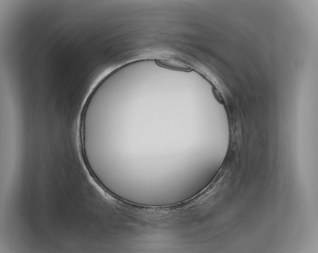 X0000112491103200908170946