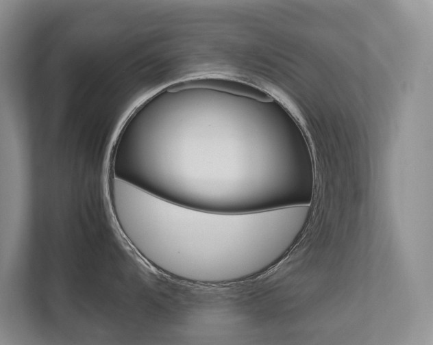 X0000112491104200908170946