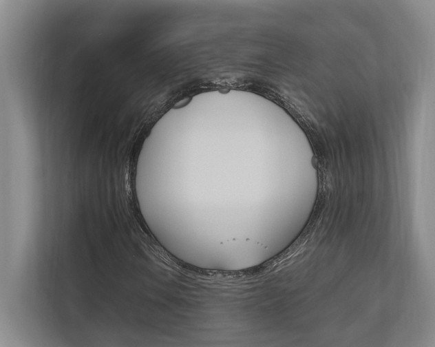 X0000112491106200908170945