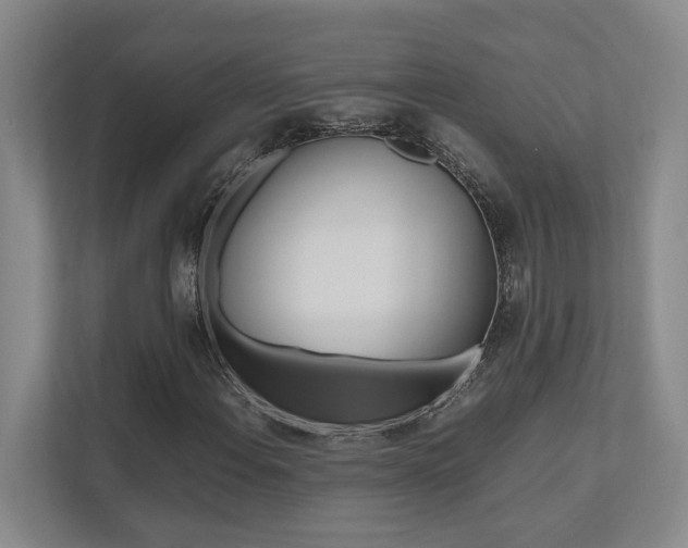 X0000112491108200908170945