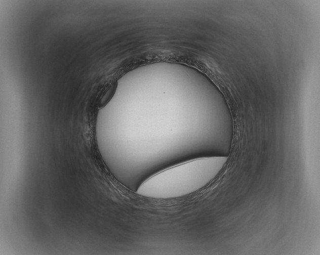 X0000112491109200908170945