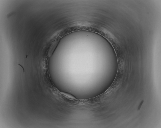 X0000112491110200908170945