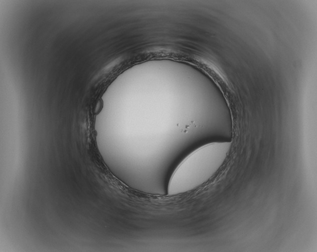 X0000112491111200908170946