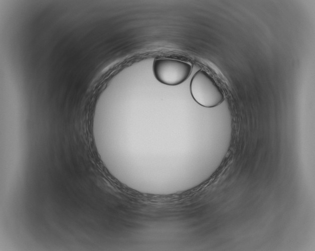 X0000112491112200908170946