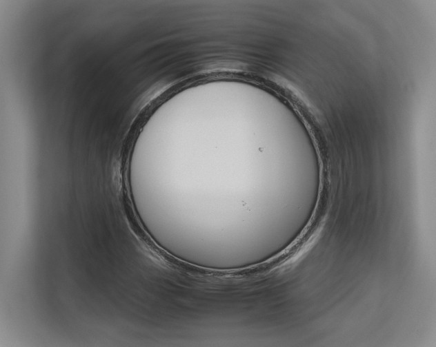 X0000112491113200908170946