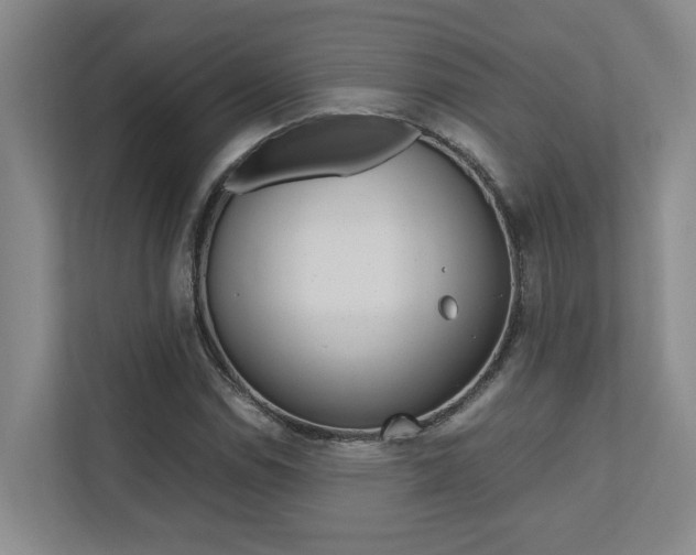 X0000112491114200908170946