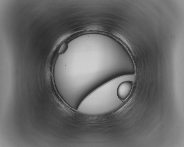 X0000112491115200908170946