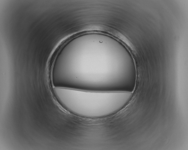X0000112491116200908170946