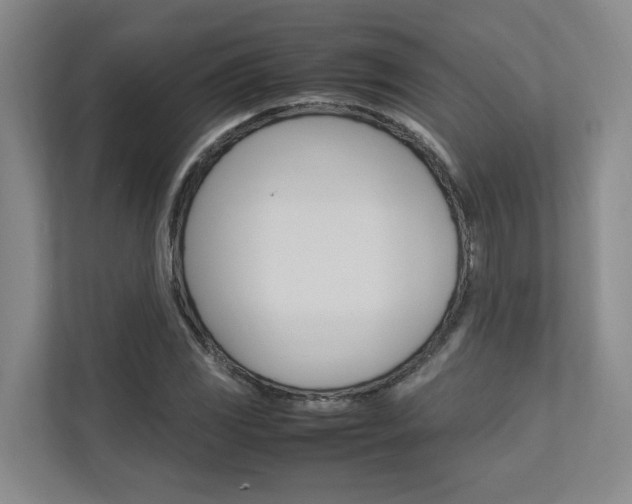 X0000112491117200908170946